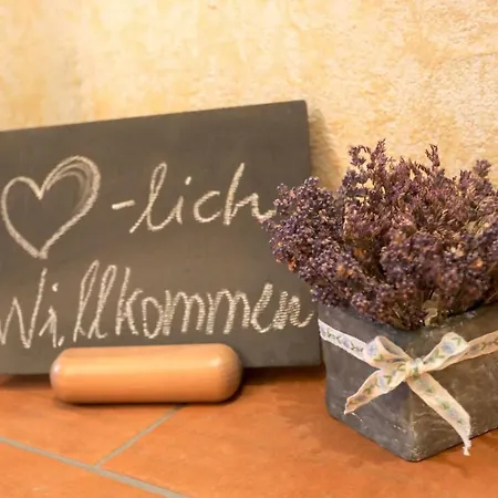 Am Markt 16, Bandusch-szemak * Pirna