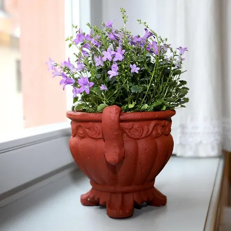 Am Markt 16, Bandusch-szemak * Pirna