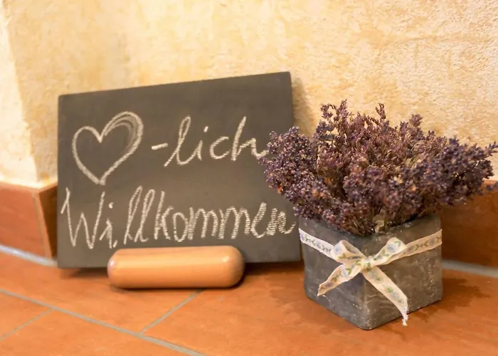 Am Markt 16, Bandusch-szemak * Pirna